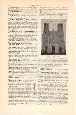 LAMINA V46148: Iglesia catolica de Fu-Nhai