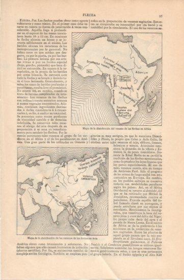 LAMINA V45841: Distribucion del veneno en flechas mapa de Africa