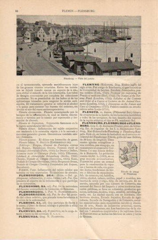 LAMINA V45843: Vista del puerto de Flensburg, Alemania