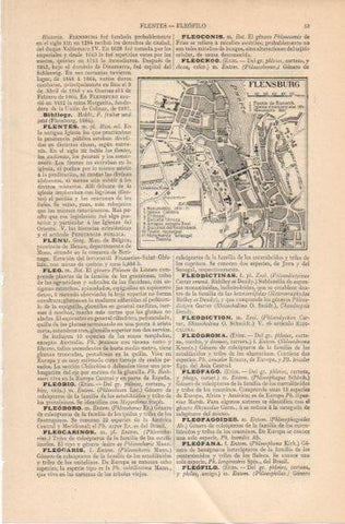 LAMINA V45844: Plano de Flensburg, Alemania