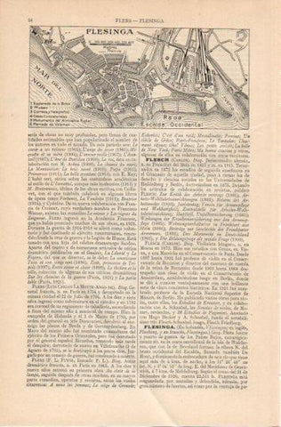 LAMINA V45845: Plano de Flesinga, Paises Bajos