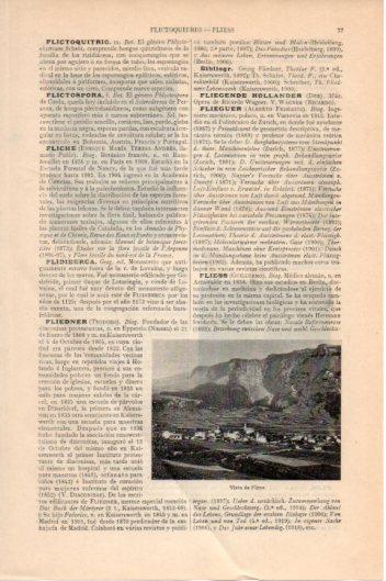 LAMINA V45847: Vista de Flims, Suiza