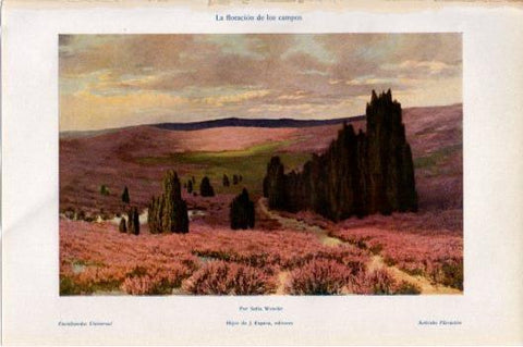 LAMINA V45854: La floracion de los campos por Sofia Wencke