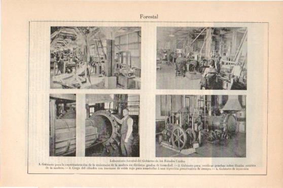 LAMINA V45908: Laboratorio forestal en Estados Unidos