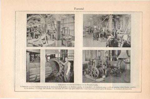 LAMINA V45908: Laboratorio forestal en Estados Unidos