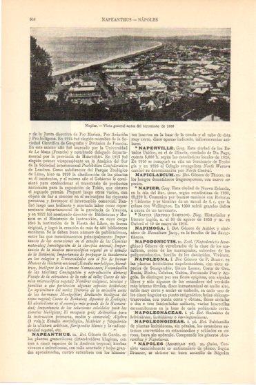 LAMINA V46100: Vista de Napier antes de 1930