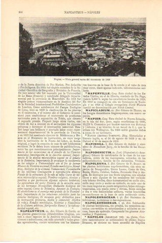 LAMINA V46100: Vista de Napier antes de 1930