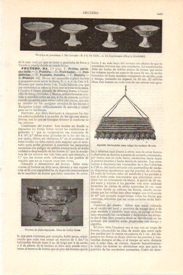LAMINA V46028: Fruteros de porcelana