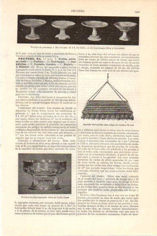 LAMINA V46028: Fruteros de porcelana