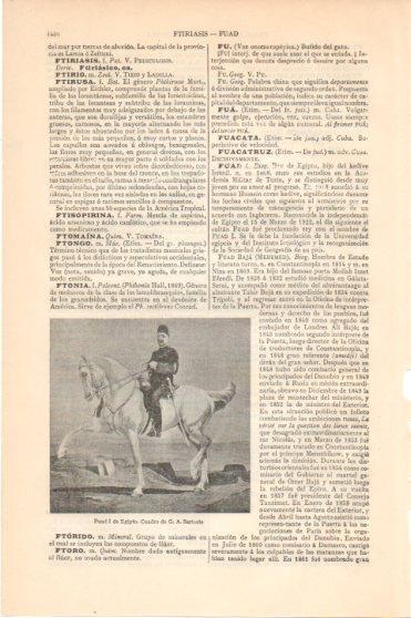 LAMINA V46037: Fuad I de Egipto por G. A. Sartorio