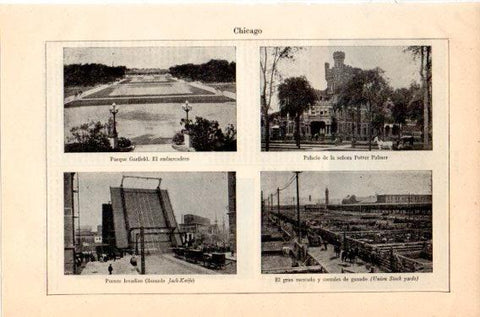 LAMINA V46795: Parque Garfield, puente Jack-Knife y mercado de ganado en Chicago