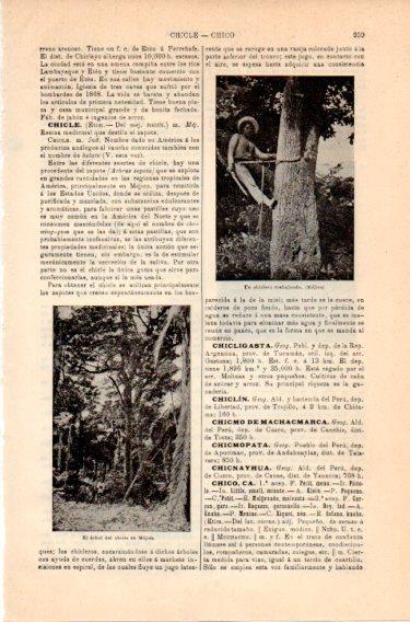 LAMINA V46789: Un chichero trabajando en un arbol, Mejico