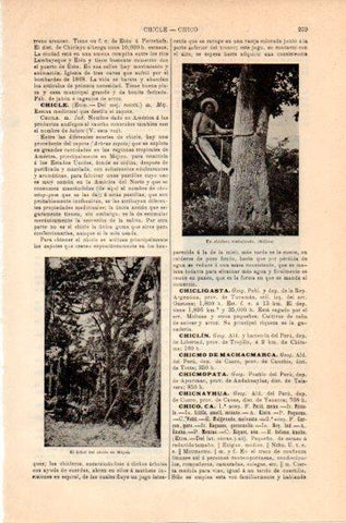 LAMINA V46789: Un chichero trabajando en un arbol, Mejico