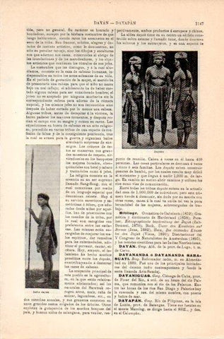 LAMINA V46928: Indio dayak