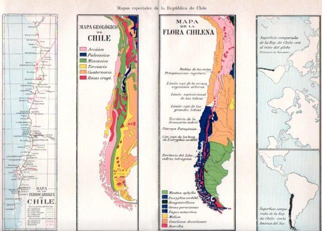 LAMINA V46978: Mapa geologico y de la flora de Chile