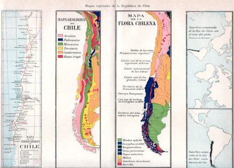 LAMINA V46978: Mapa geologico y de la flora de Chile
