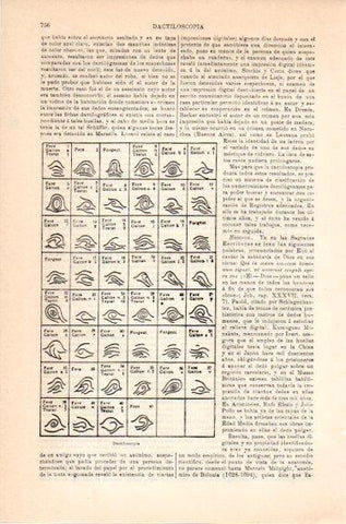 LAMINA V46868: Dactiloscopia