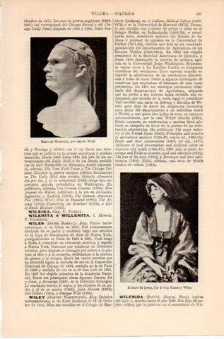 LAMINA V46549: Busto de Mussolini por A. Wildt