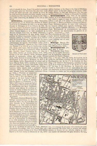 LAMINA V46558: Plano y Escudo de Winchester