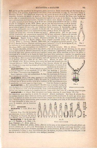LAMINA V46487: Clases de alicates