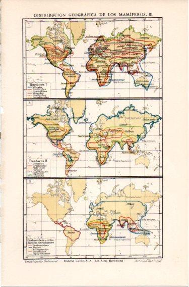 LAMINA V46686: Mapas del mundo distribucion de los mamiferos III