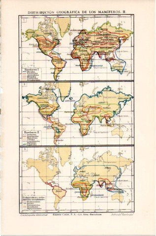 LAMINA V46686: Mapas del mundo distribucion de los mamiferos III