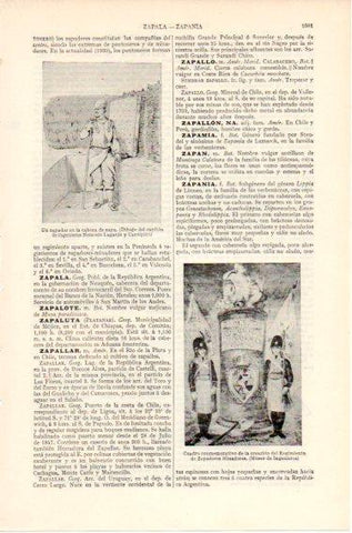 LAMINA V46665: Nemesio Lagarde y Carriquiri 