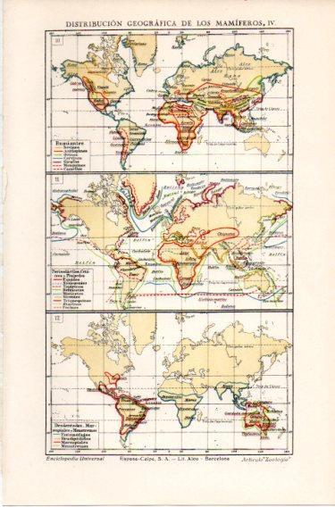 LAMINA V46698: Mapas del mundo distribucion de los mamiferos IV