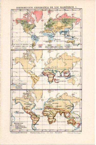 LAMINA V46692: Mapas del mundo distribucion de los mamiferos I