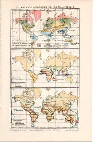 LAMINA V46692: Mapas del mundo distribucion de los mamiferos I