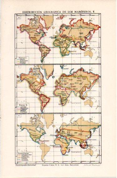 LAMINA V46691: Mapas del mundo distribucion de los mamiferos III