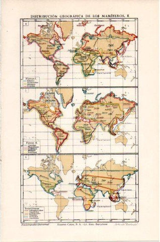 LAMINA V46691: Mapas del mundo distribucion de los mamiferos III