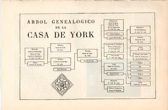 LAMINA V46614: Arbol genealogico de la Casa de York