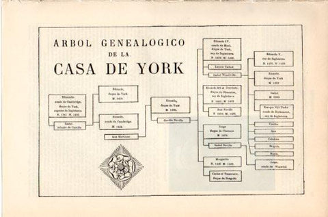LAMINA V46614: Arbol genealogico de la Casa de York