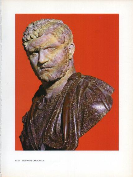LAMINA V47020: Busto de Caracalla