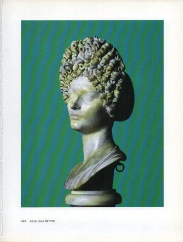 LAMINA V47018: Busto de Julia hija de Tito