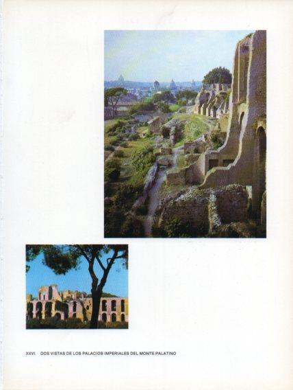 LAMINA V47014: Vistas de los Palacios Imperiales del Monte Palatino, Roma