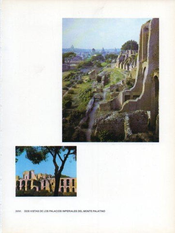 LAMINA V47014: Vistas de los Palacios Imperiales del Monte Palatino, Roma