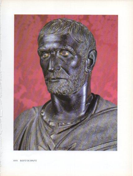 LAMINA V47017: Busto de Bruto
