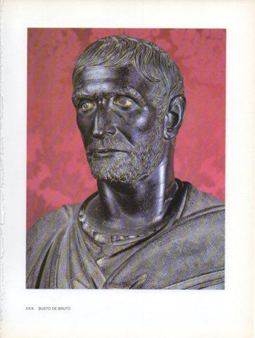 LAMINA V47017: Busto de Bruto