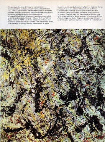 LAMINA V48085: Senderos ondulacos por Jackson Pollock
