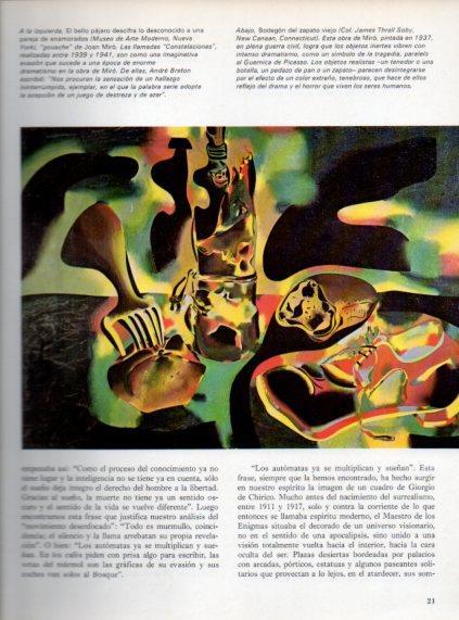 LAMINA V48024: Bodegon del zapato viejo por Joan Miro