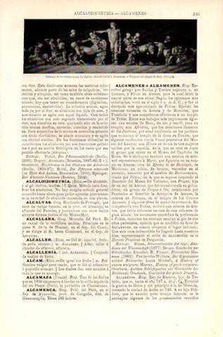 LAMINA V47543: Combate de los centauros con los lapitas, templo de Zeus