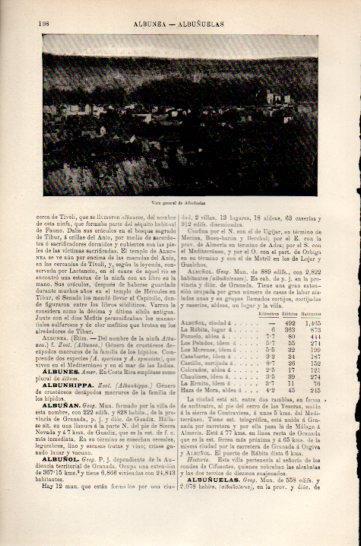 LAMINA V47538: Vista general de Albuñuelas