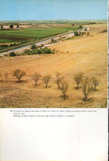 LAMINA V47666: Canal a Bellpuig d'Urgell