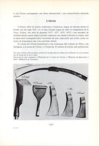 LAMINA V47611: Gravat eines emprades per al conreu de l'olivera