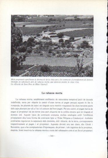 LAMINA V47621: Ca n'Escola de Sant Pere de Ribes