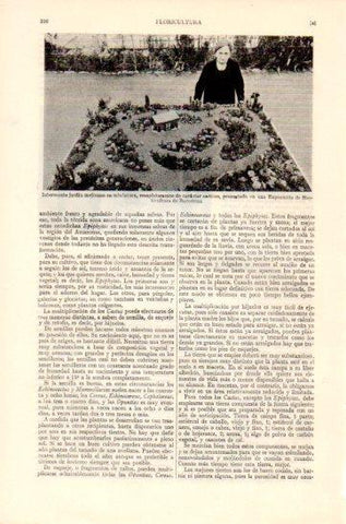 LAMINA V47455: Jardin mejicano en miniatura, Exposicion de Barcelona