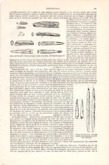 LAMINA V47426: Utensilios y arpones Cueva del Parpallo, Valencia