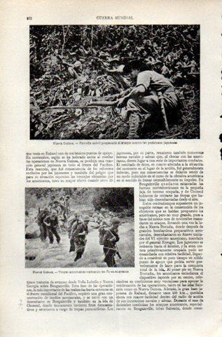 LAMINA V47406: Tropas americanas en Nueva Guinea